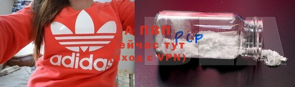 СК Белокуриха