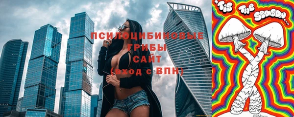 СК Белокуриха