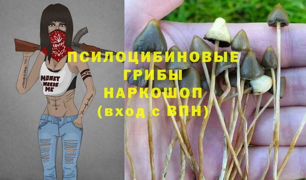 спиды Белоозёрский