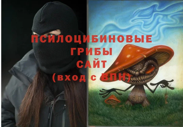 СК Белокуриха